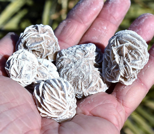 Bulk DESERT ROSES * Natural Selenite Gypsum Crystal Mineral Stones * Choice of 1/2 or 1" Sizes * Mexico