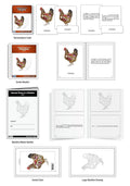 Internal Parts of a Chicken Puzzle with Nomenclature Cards (6-9) (Printed) | Montessori Materials | Montessori Zoology | Three Part Cards