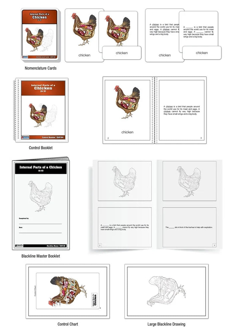 Internal Parts of a Chicken Puzzle with Nomenclature Cards (6-9) (Printed) | Montessori Materials | Montessori Zoology | Three Part Cards