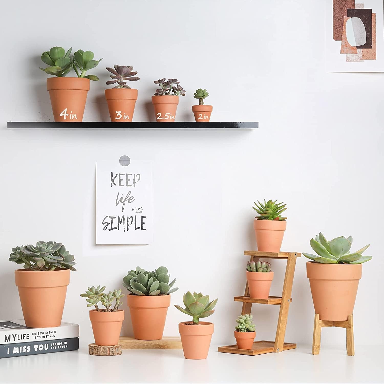 Terracotta Pots - 4 inch, Pack of 12 Small Clay Pots with Drainage Holes and Saucers for Succulents, Cactus, Indoor, Outdoor