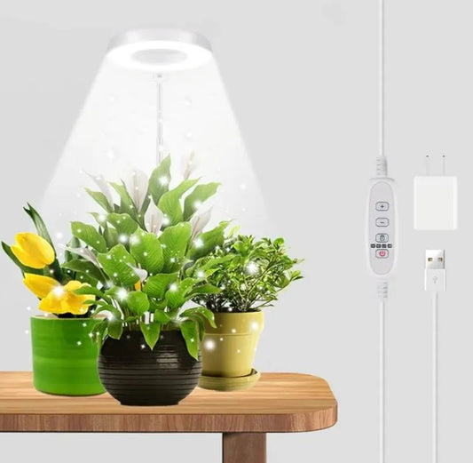 Led grow light. Works with any plants including bonsai.
