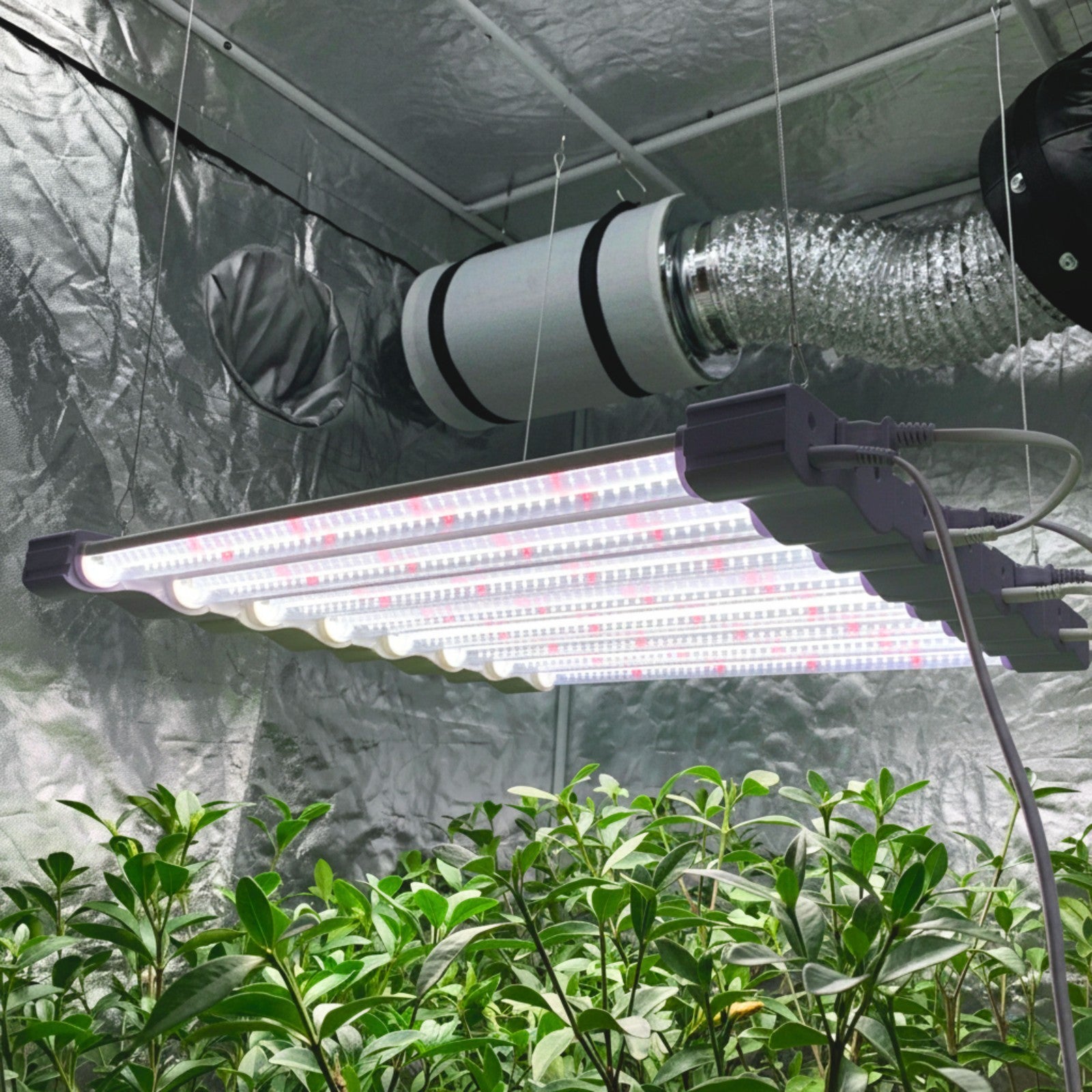 LED Grow Light Full Spectrum  Linkable Seedling Veg Hydroponic Grow Lamp