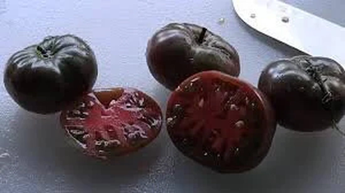 Organic Black Krim Tomato Seeds, Heirloom, Non-GMO, Solanum Lycopersicum LY0120