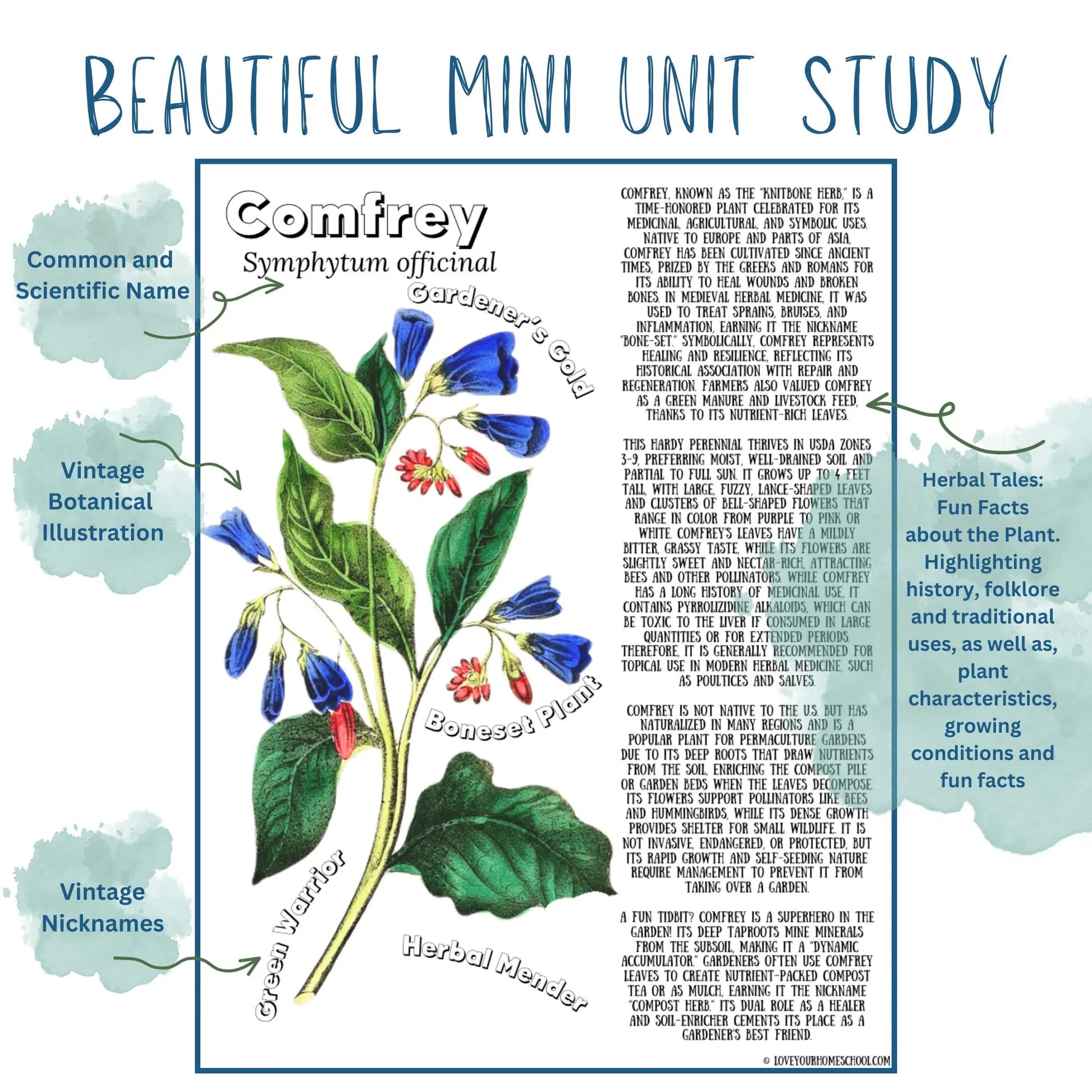 HUGE Homeschool Garden Herbs Notebooking Journal 266 Pages Homeschool Nature Botany Mini Unit Study Coloring Pages Flashcards Curriculum