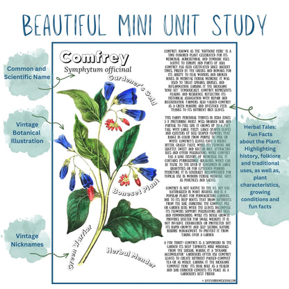 HUGE Homeschool Garden Herbs Notebooking Journal 266 Pages Homeschool Nature Botany Mini Unit Study Coloring Pages Flashcards Curriculum