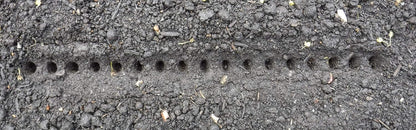 Seed-In Soil Digger and Soil Spacer for Planting Seeds