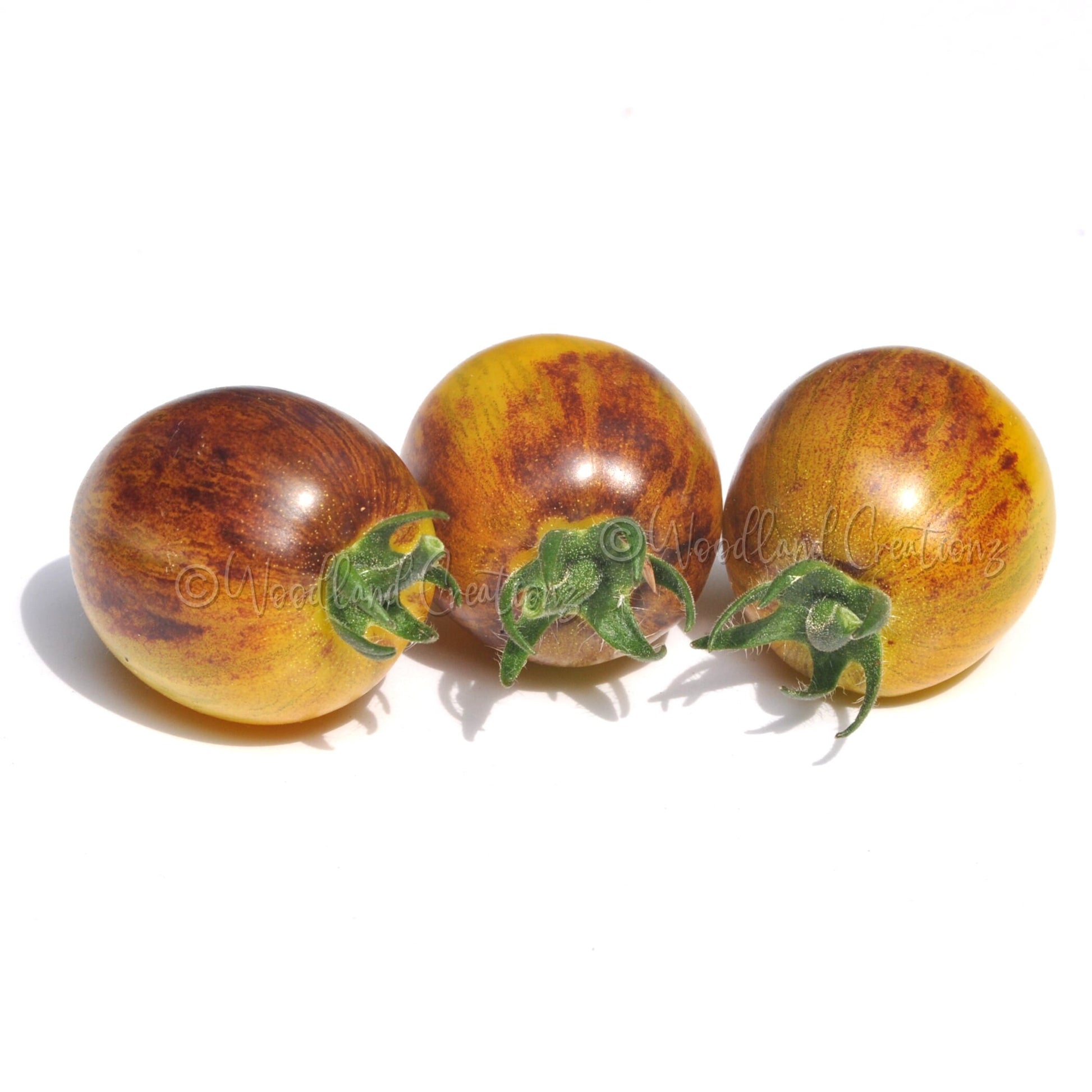 Golden Hour Tomato - Micro Dwarf Tomato Seeds - Sweet Yellow Tomatoes