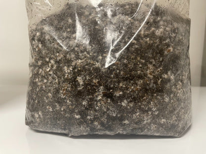MycoHaus 2X Five LB Bags Sterilized Compost Bulk Mushroom Substrate  Grow Kit