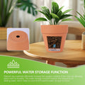 24 Pack 4 Inches Terracotta Plant Pots, Terra Cotta Planter with Drainage Holes, Perfect for Planting, Painting, Weddings and Parties