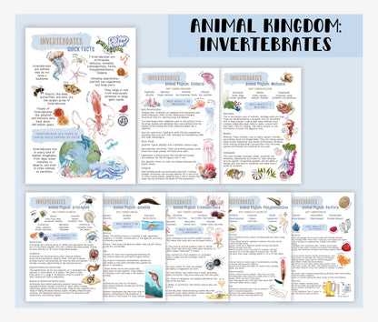 3 Unit Study BUNDLE Educational Resources for Teachers, Homeschool and Montessori Learning Spaces, Watercolor Illustrations