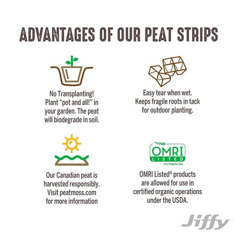 Peat Strips Seed Starter Kit , 50 Pots , Jiffy