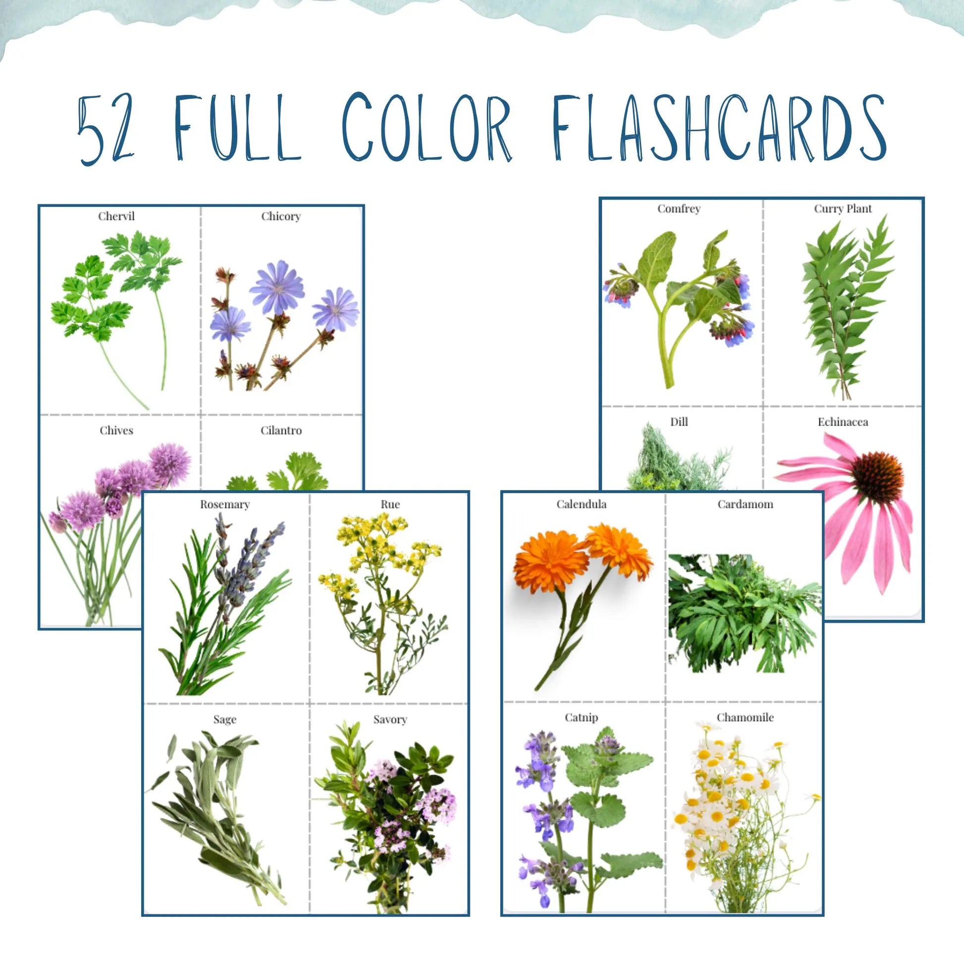 HUGE Homeschool Garden Herbs Notebooking Journal 266 Pages Homeschool Nature Botany Mini Unit Study Coloring Pages Flashcards Curriculum
