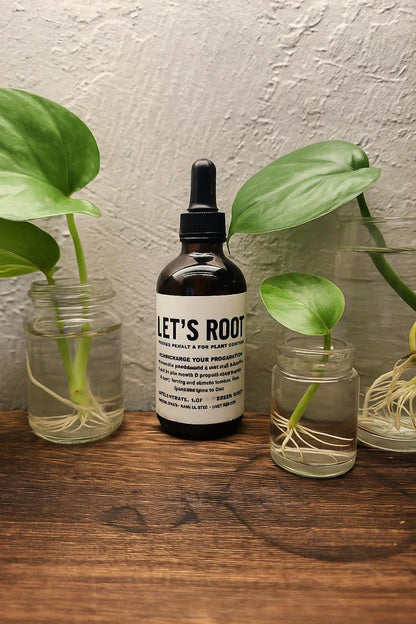 Let’s Root Plant Cutting Rooting Formula | 4 oz Bottle | Propagation Supplement for Water, Soil, LECA