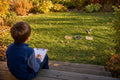Child with a clipboard on back steps observing three feeding dishes in a backyard garden