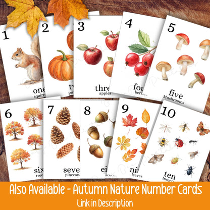 Autumn Count and Clip Cards, Fall Nature Counting Activity for Toddlers & Preschool, Montessori Printable