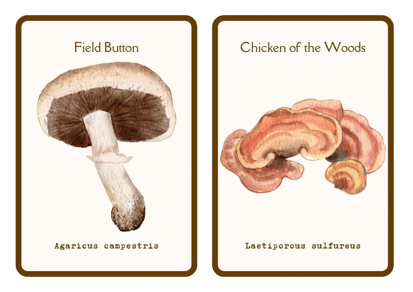 Watercolor Mushroom Flashcards | Reggio Nature Study, Montessori Learning Materials, Charlotte Mason, Early Childhood, Homeschool Printables