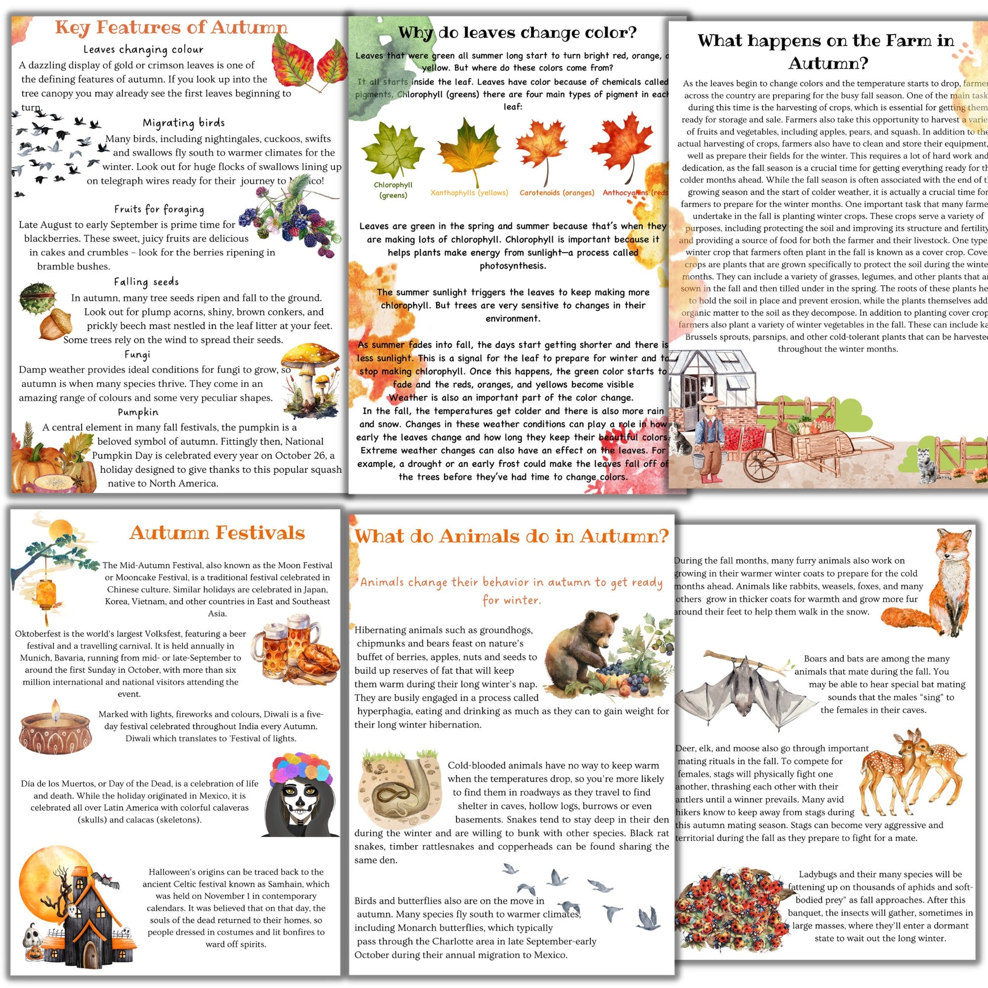 fall unit study, Mushroom unit study, Corn unit study, Fox unit study, Oak  tree cycle, Fall activities, Fall nature study, Montessori fall