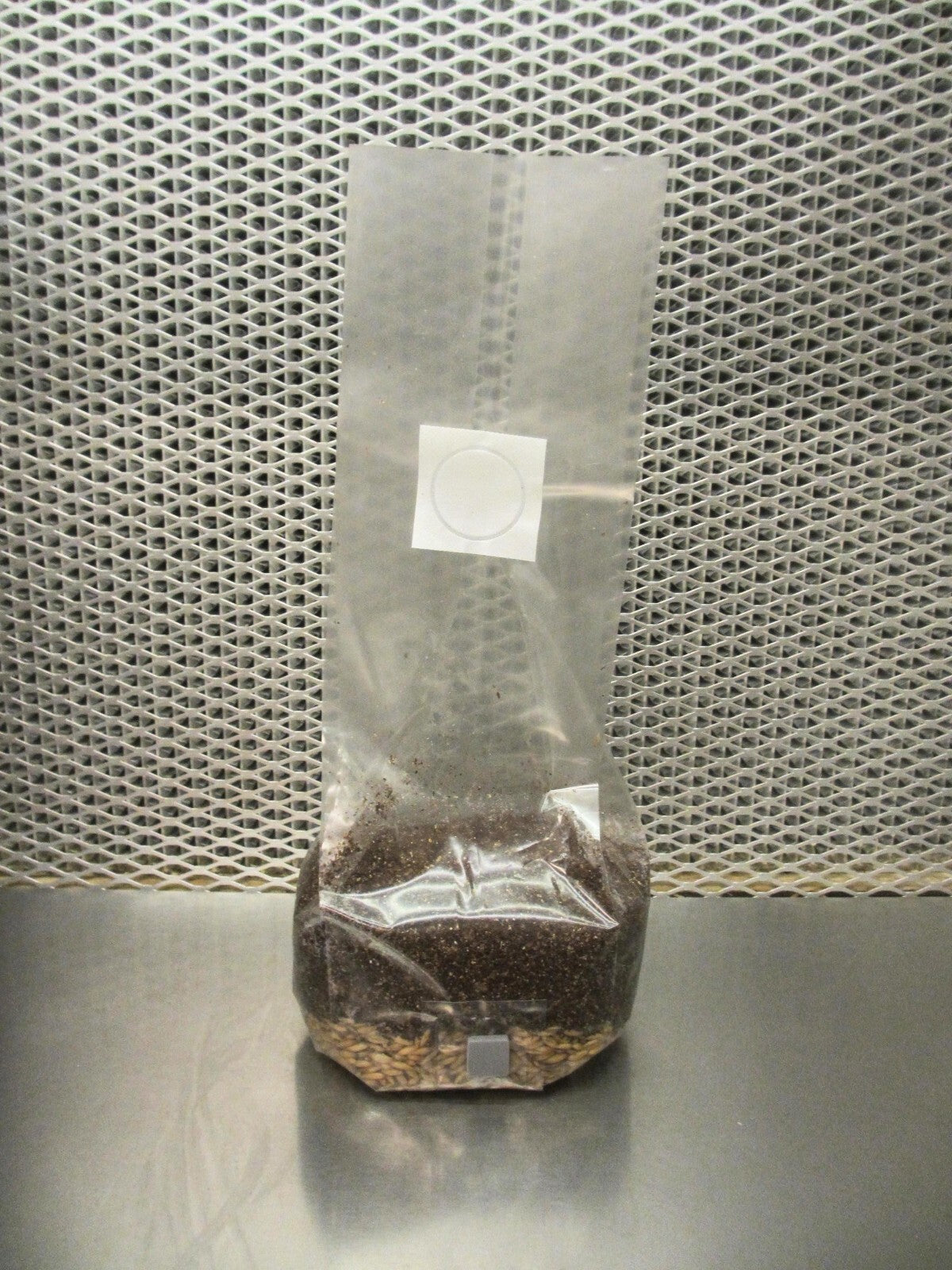 All In One Mushroom Grow Bags 2 X 2 LBS - Dung Lovers Substrate Injection Port