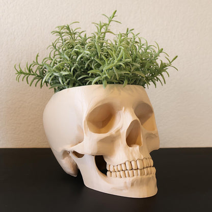 Skull Planter Pot - Plant pot 3D Printed - Human Skull Replica - Halloween decor - Plant Horror Gothic - Succulent Planter - Memento mori