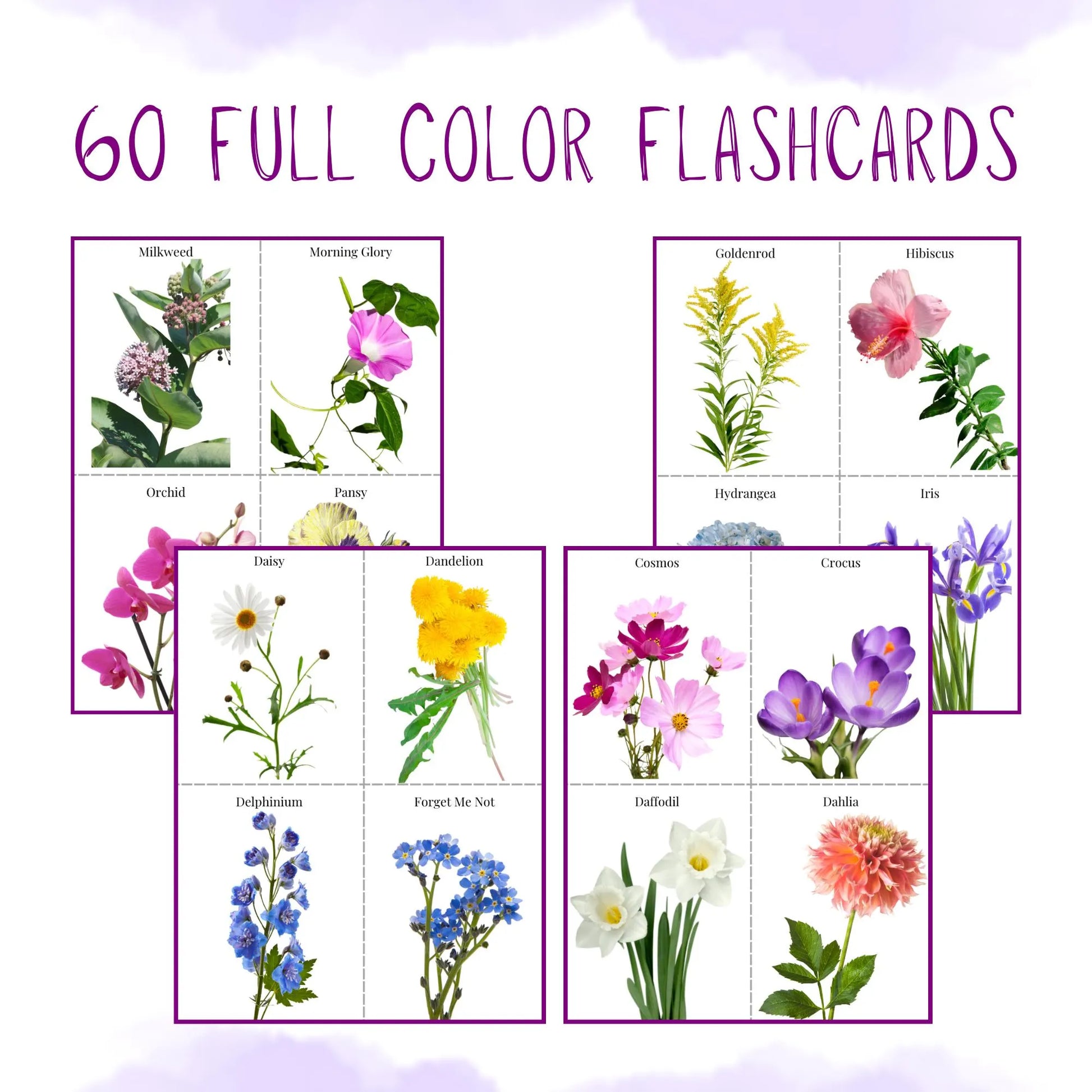HUGE Homeschool Flower Notebooking Pack 322 Pages Flower Garden Unit Study Worksheets Curriculum Nature Journal Flashcard Coloring Page