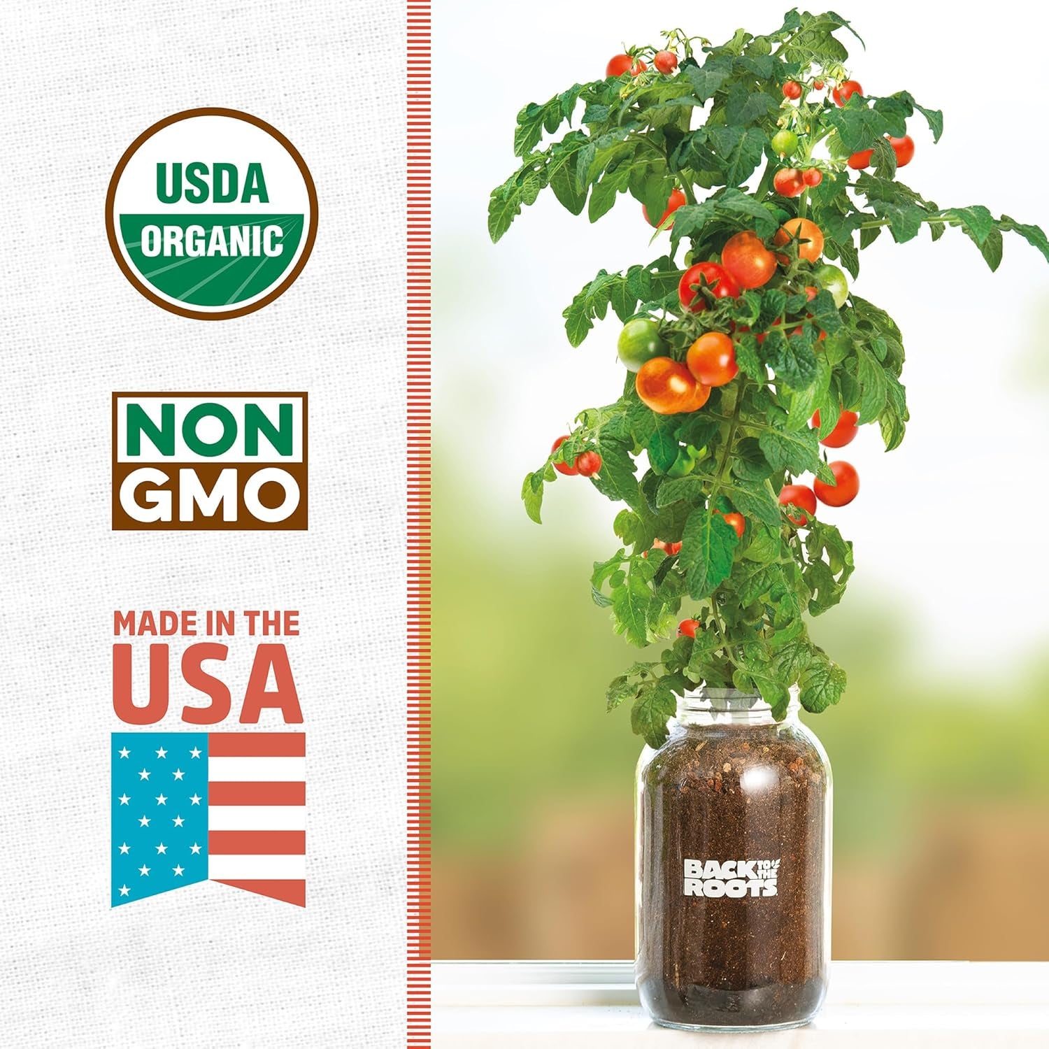 Cherry Tomato Organic Windowsill Planter Kit - Grows Year Round, Includes Everything Needed for Planting