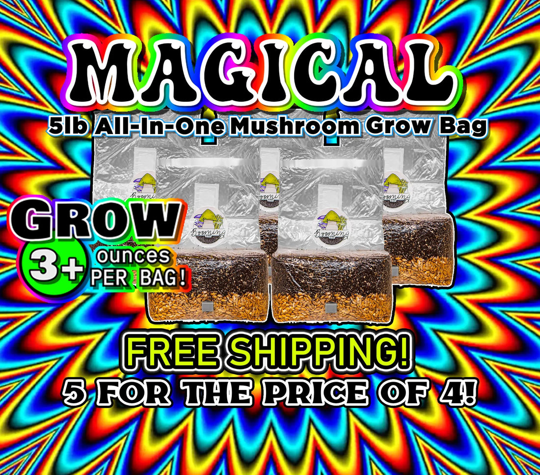 FIVE Magical 5lb All In One Mushroom Growing Bags discounted listing!