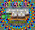 FIVE Magical 5lb All In One Mushroom Growing Bags discounted listing!