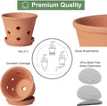 6 Inch Terracotta Orchid Pots with Holes, Saucers - 3 Pack Clay Orchid Planter Pots for Repotting, Small Terra Cotta Pot, Indoor & Outdoor, Promotes Air Circulation