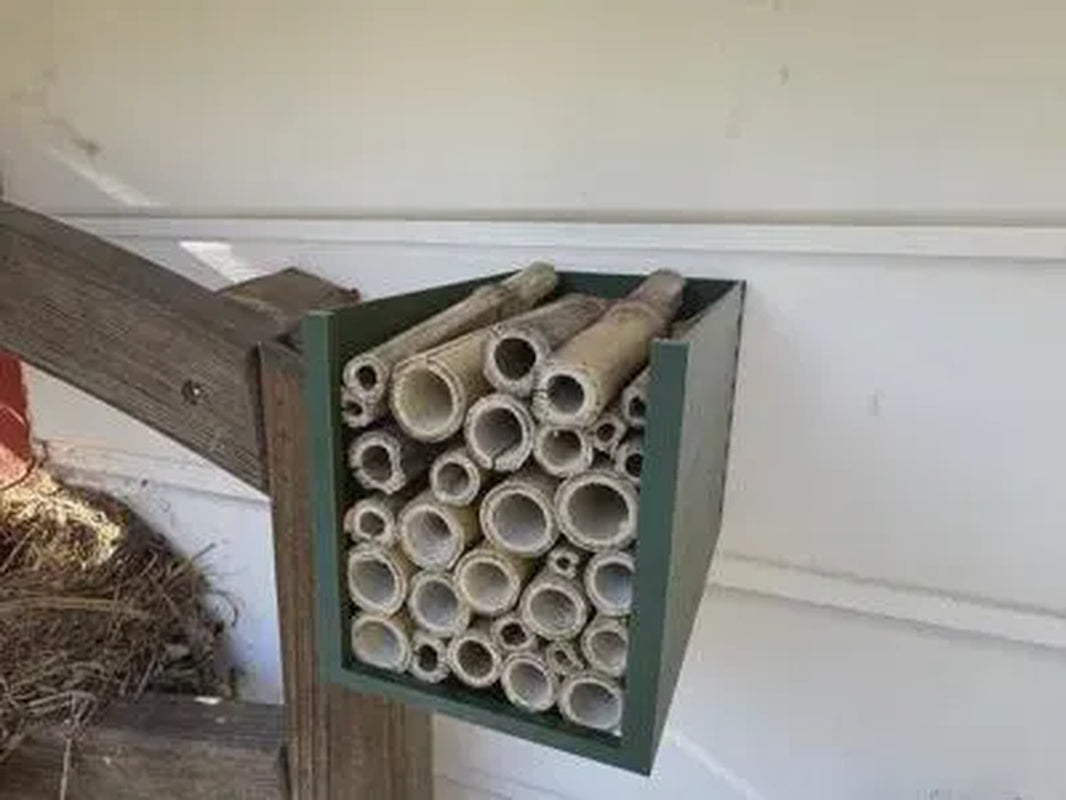 Bee Hotel