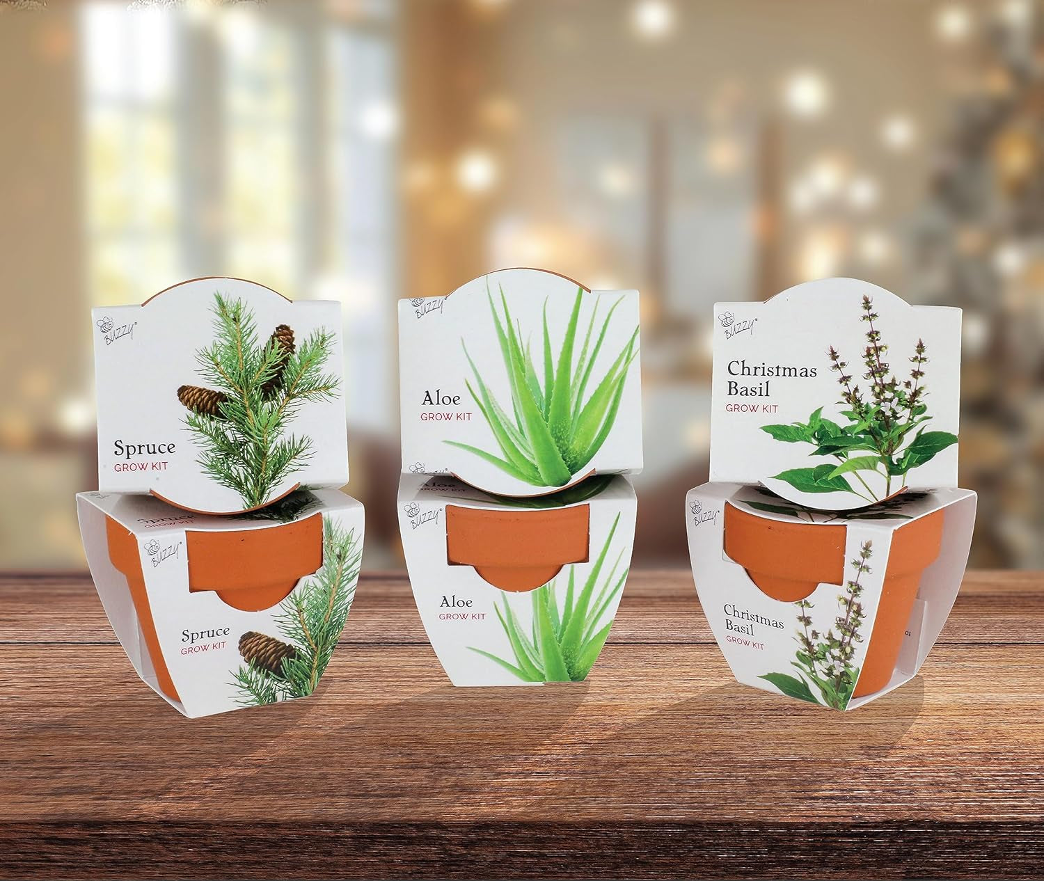 Seeds Terracotta Mini Grow Pots | Herb, Plant, Flower Starter Kit for Kids & Adults | Assorted 6-Pack, Radiant Collection | Guaranteed to Grow | Best Indoor Grow Your Own Plant Gardening Gift