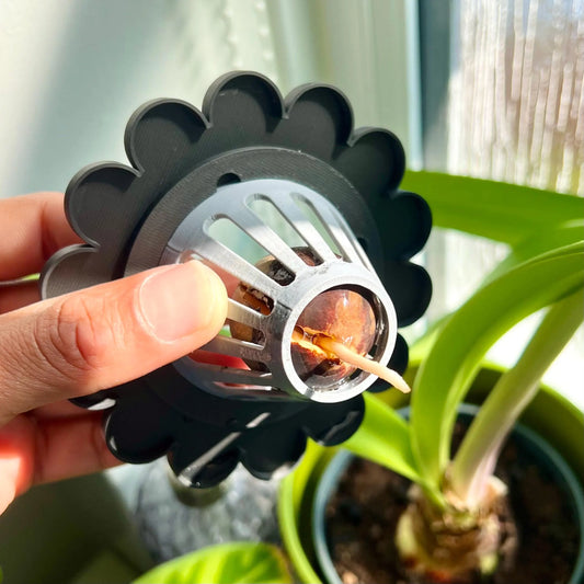 Propagation Cone for Mason Jars | Avocado Seed Sprouter | Cute Flower Lid