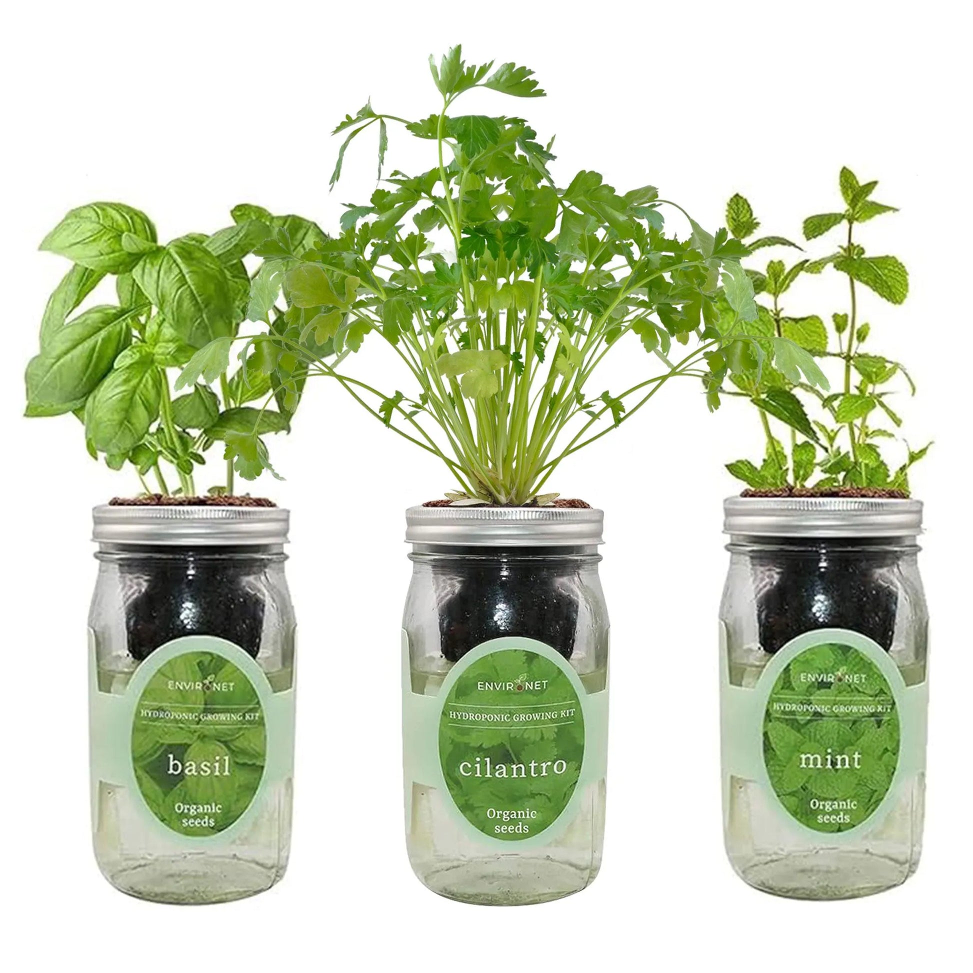 Herb Garden Trio - Mason Jar Hydroponic Kit Set with Organic Seeds, Gardening Gift