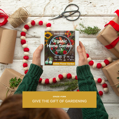 Indoor Edible Flower Garden Kit - Certified Organic Non GMO - Soil, Peat Pots, 5 Seeds Borage, Sunflower, Thai Basil, Dill, Nasturtium