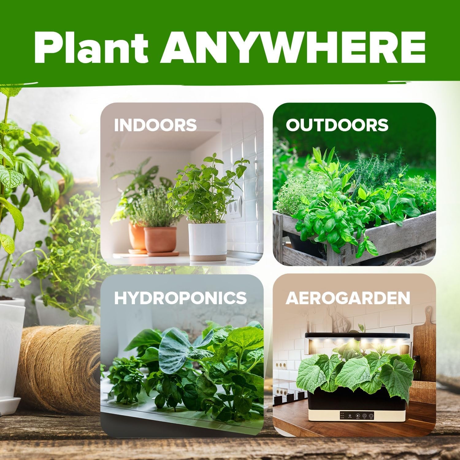 30 Herb Seeds Pack | 9,500 𝗡𝗢𝗡-𝗚𝗠𝗢 𝗨𝗦𝗔 Heirloom Seeds | Indoor & Outdoor Planting | Culinary Herb Variety Pack | HG30H Perfect for Hydroponic Gardens | Parsley, Rosemary,Thyme,More