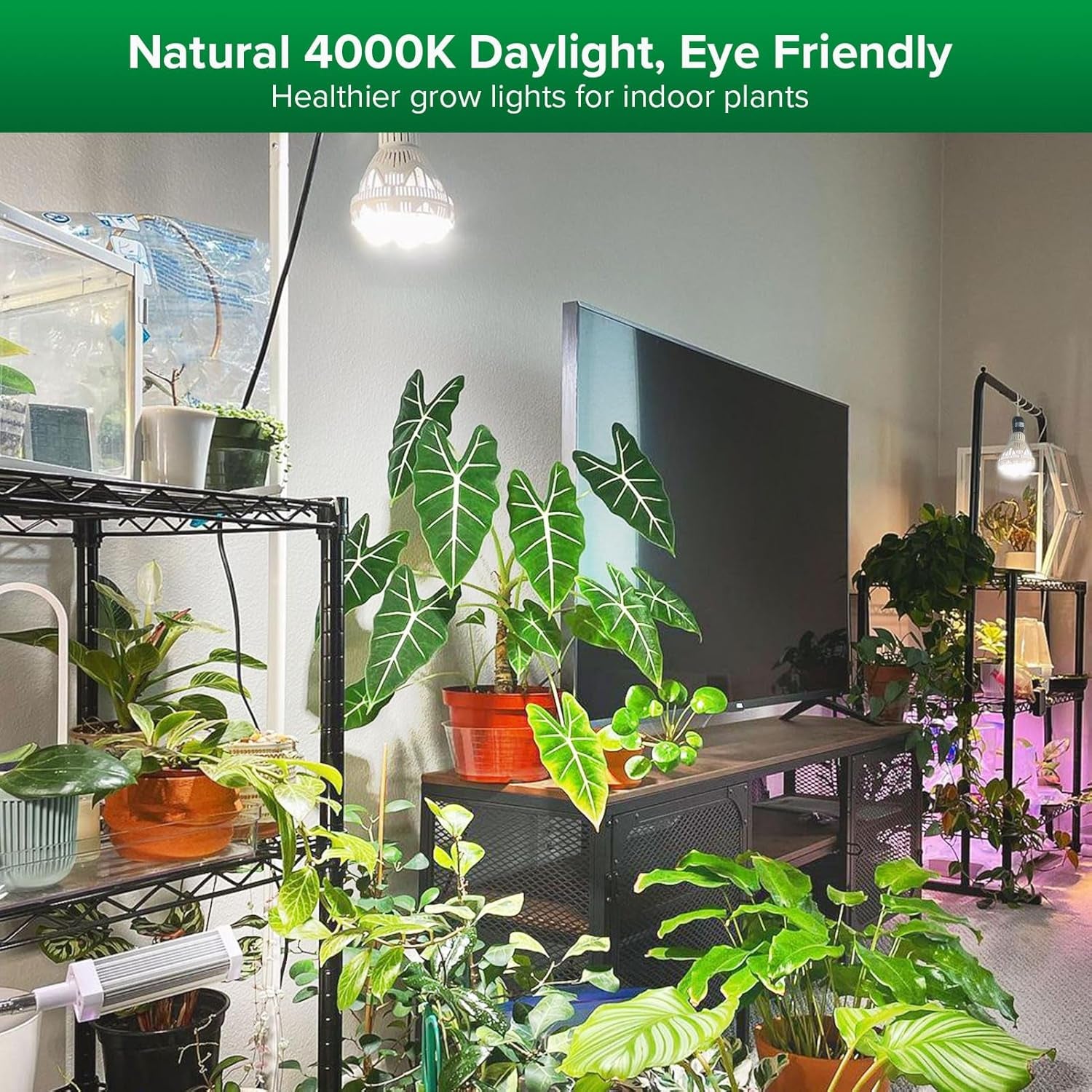 Grow Lights for Indoor Plants Full Spectrum, 36W Grow Light Bulb (400 Watt Equivalent) with Optical Lens for High PPFD, PPF 65.6 umol/s LED Energy Saving Plant Light Bulb for Seeding and Growing