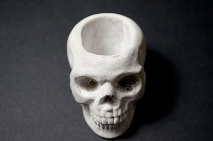 Sugar Skull Planter - Concrete |  Plant Pot, Indoor House Plant, Air Plants, Tillandsia, Succulent, Science Gothic Halloween Decor