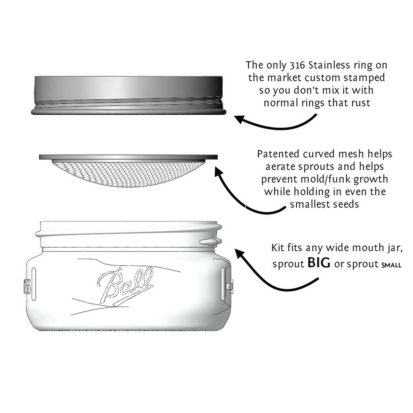 Trellis + Co|Stainless Steel Sprouting Kit, 4 Pack With Sprouting Stands|Rust Proof Stainless,Curved Mesh,Fits Most Wide Mouth Mason Jars