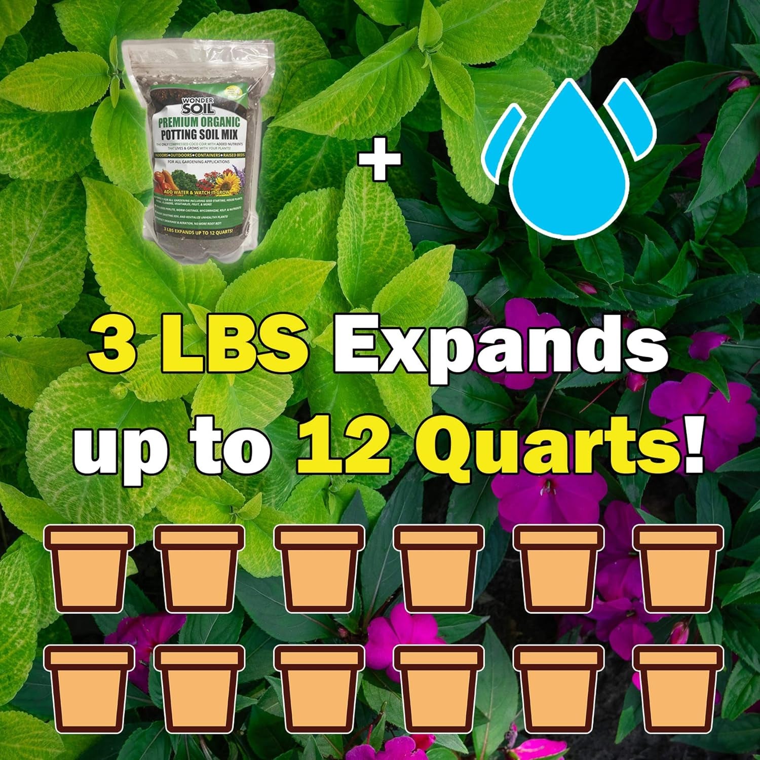 Organic Potting Soil | Ready to Plant Coco Coir Fully Loaded with Nutrients | 3 LBS Bag Expands to 12 Quarts of Indoor Outdoor Soil for Gardens & Plants | Incl Worm Castings, Perlite