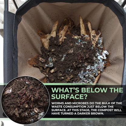 Bag Worm Composting Bin Version 2 - Easy Harvest with Fully Removable Zipper-Free Bottom