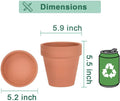 6 Inch Terracotta & Clay Pots for Plant with Saucer - 4 Pack Medium Terra Cotta Planter with Drainage Hole, Flowerpot for Indoor Outdoor Plants, Crafts, Wedding Favor