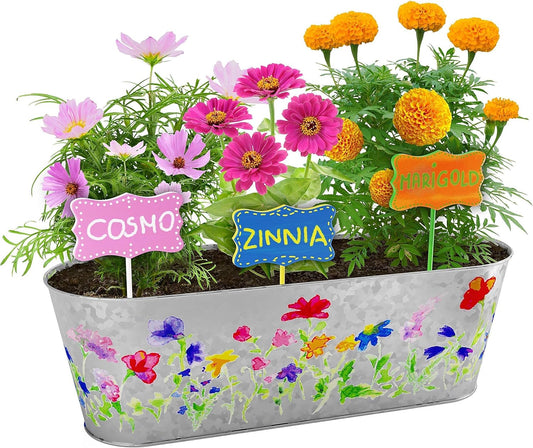 Paint & Plant Flower Growing Kit for Kids - Best Birthday Crafts Gifts for Girls & Boys Age 5 6 7 8-12 Year Old Girl Gift Ideas - Fun Children Gardening Kits, Art Projects Toys for Ages 5-12 Years