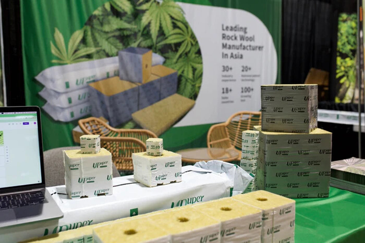 Premium Hydroponic Rockwool Grow Cubes Rapid Plant Growth Root Development Large