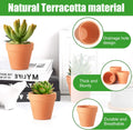 Terra Cotta Pots, 24 Pack 3.15 Inch Mini Clay Pot with Drainage Holes,Cactus Flower Nursery Terracotta Pots for Indoor/Outdoor Succulent Plants, Crafts, Wedding Favor