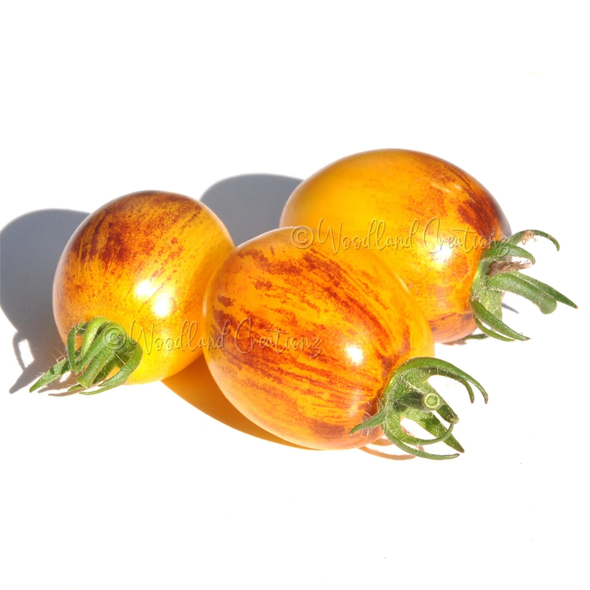 Golden Hour Tomato - Micro Dwarf Tomato Seeds - Sweet Yellow Tomatoes