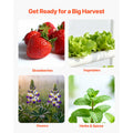 Uimoso Hydroponic Site Grow Kit 36 Planting Sites 1 Layer Hydroponics System
