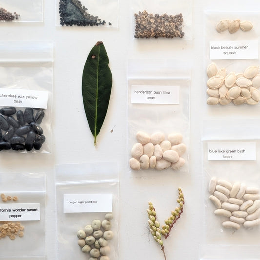 Ultimate Survival Seed Bank – 5,000+ Non-GMO Heirloom Seeds for Long-Term Food Security