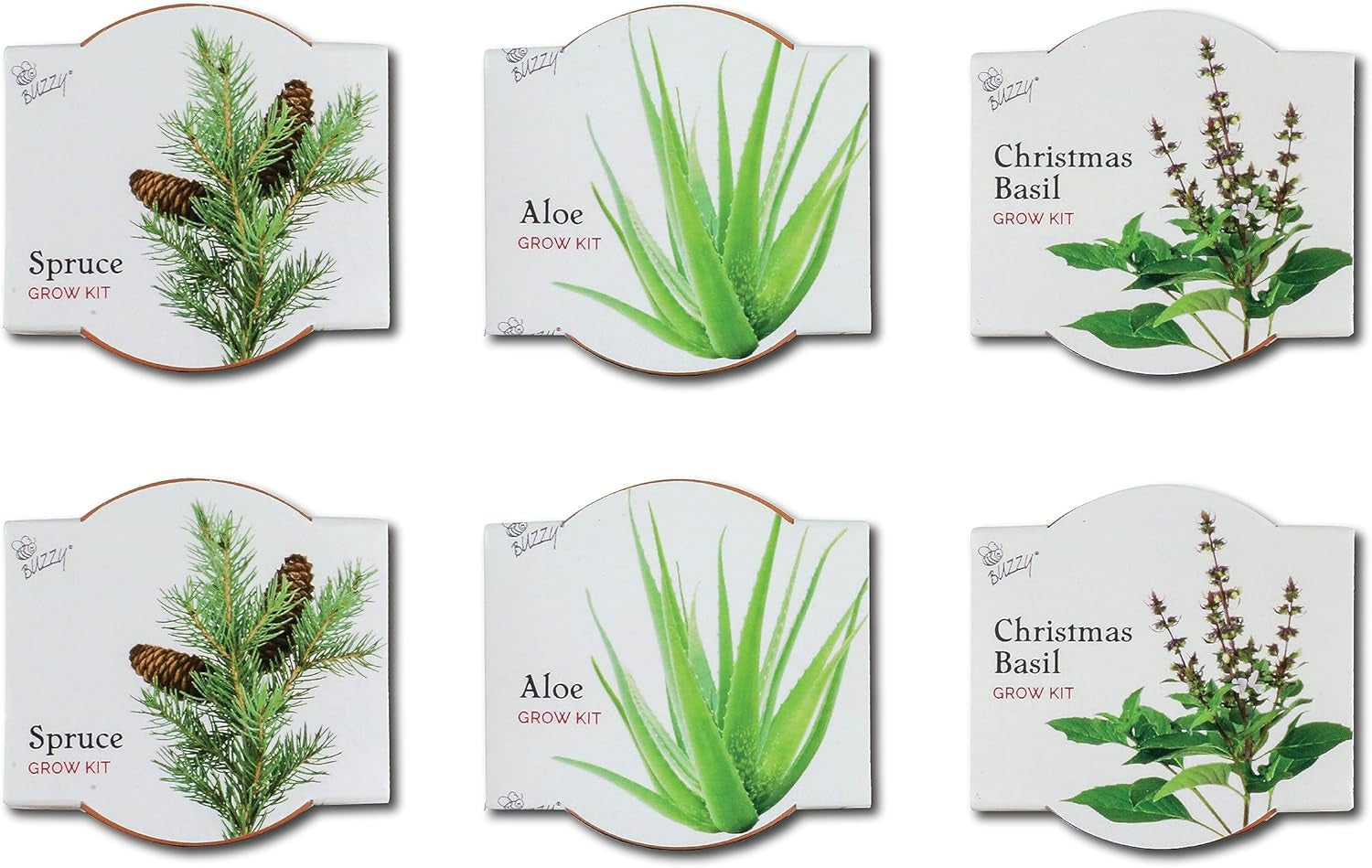 Seeds Terracotta Mini Grow Pots | Herb, Plant, Flower Starter Kit for Kids & Adults | Assorted 6-Pack, Radiant Collection | Guaranteed to Grow | Best Indoor Grow Your Own Plant Gardening Gift