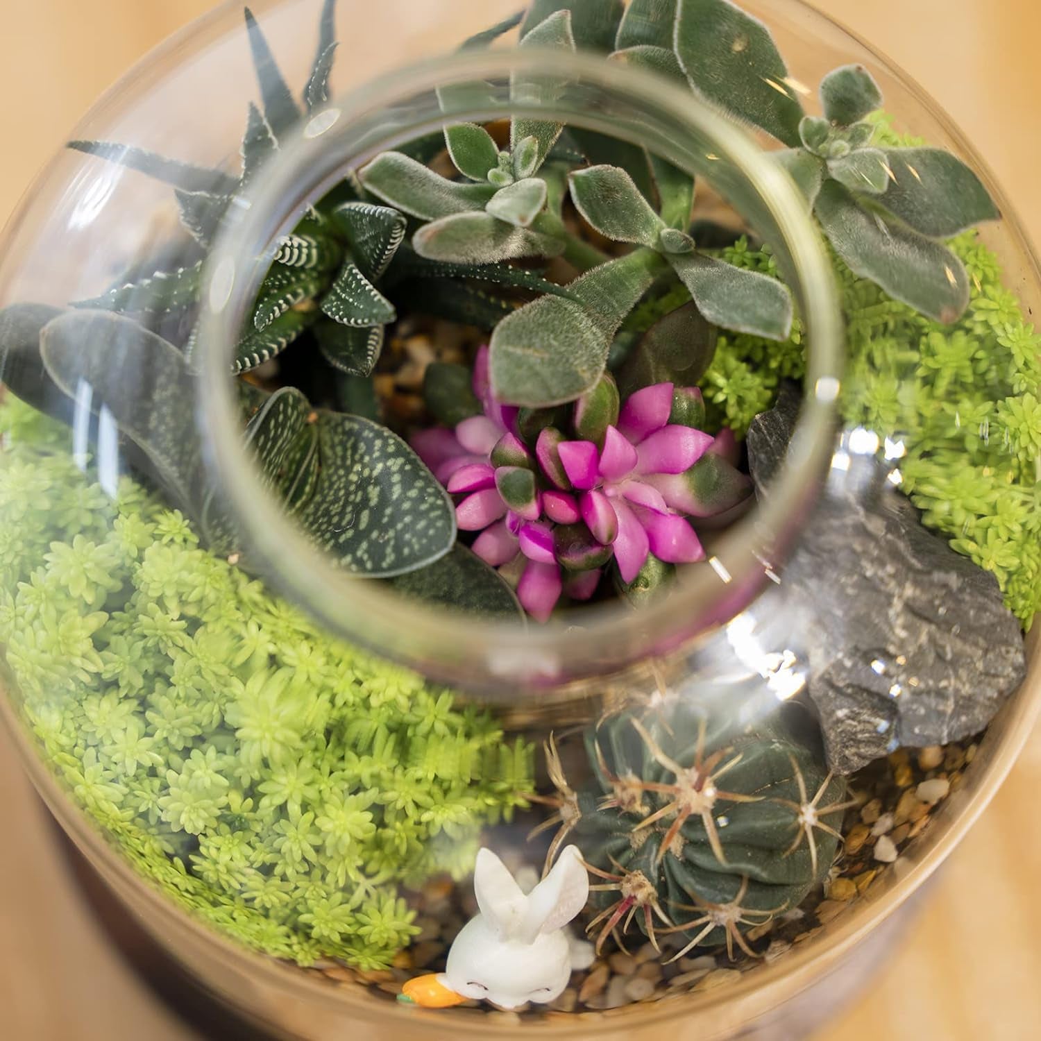 Large Glass Terrarium Succulent Plant Terrarium House for Plant/Moss Ball/Glass Fish Tank Mini Table with Wood Base & Ball lid Office Home Decoration