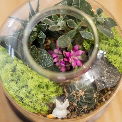 Large Glass Terrarium Succulent Plant Terrarium House for Plant/Moss Ball/Glass Fish Tank Mini Table with Wood Base & Ball lid Office Home Decoration