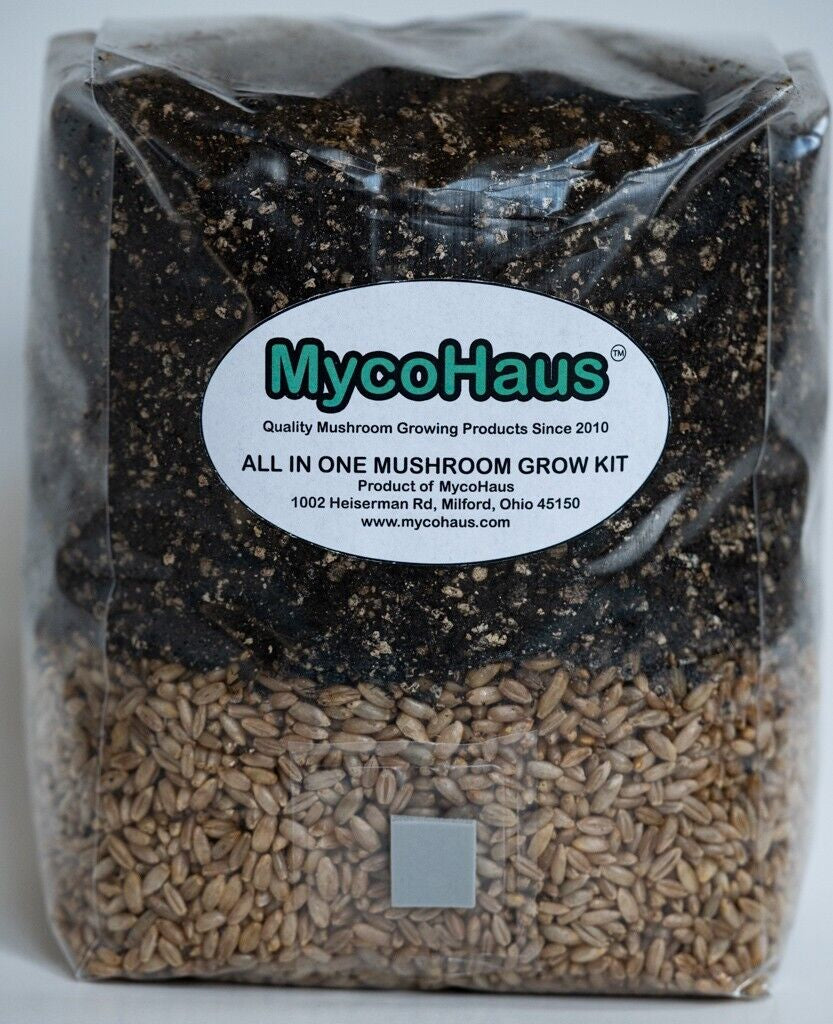 MycoHaus All in One 5 Pound Spawn Bag Rye & Compost Mushroom Substrate Grow Kit